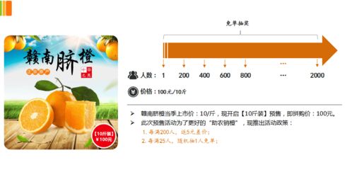 預售拼購模式在農(nóng)產(chǎn)品電商的實踐與價值 以贛南臍橙為例的軟件系統(tǒng)推演剖析